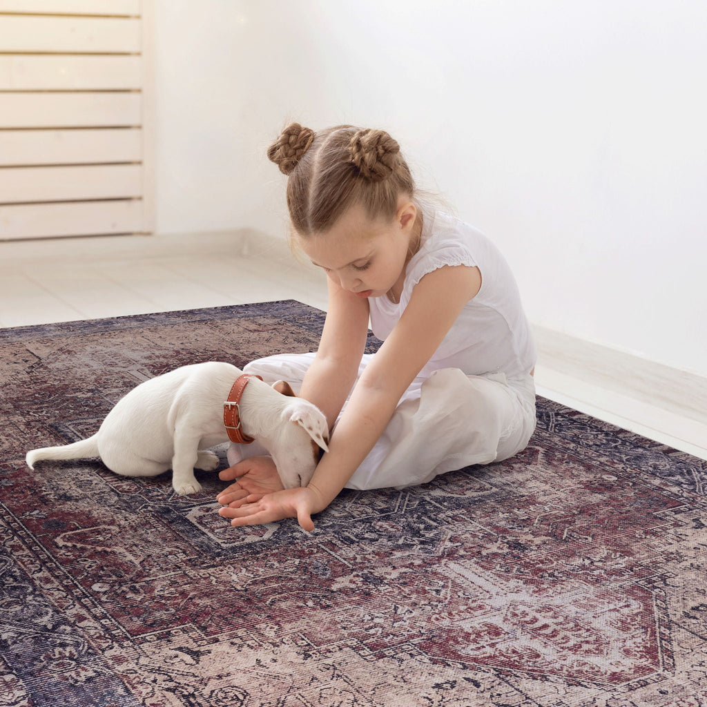 Unique Washable Area Rug with Low Pile - Multiple Colors